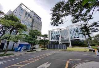 福建办公室绿墙植物品种