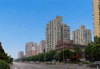 广东专业的环氧彩砂厂家